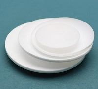 PTFE WatchSurface Dish 