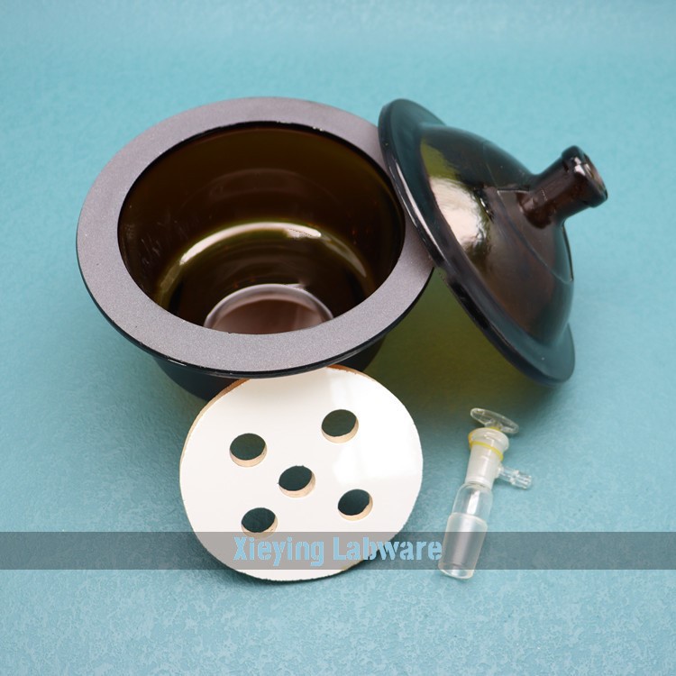 Vacuum Desiccator