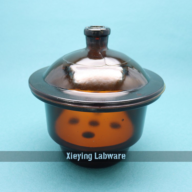Lab Desiccator
