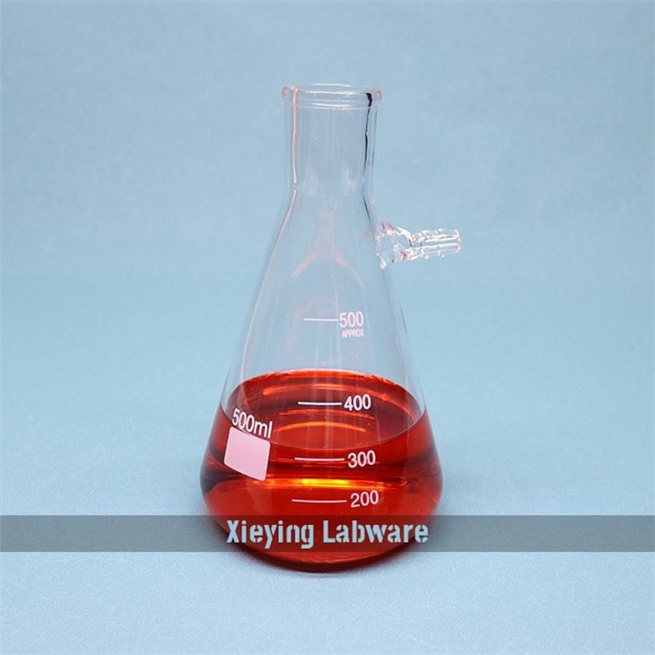 Lab Boro3.3 Glass Filtering Flask