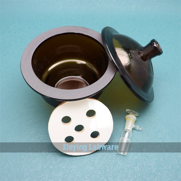 Lab Desiccator