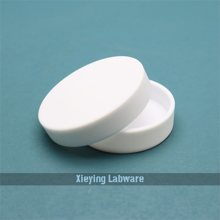 PTFE Dish
